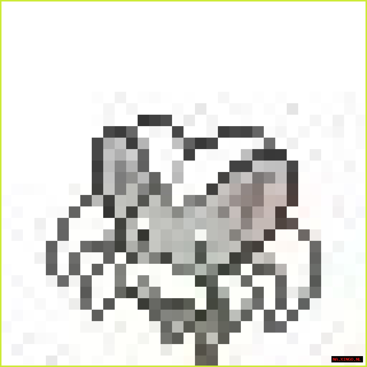 HTML