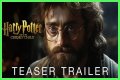 Harry Potter and The Cursed Child: The Sequel