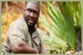 Nonso Anozie - Zoo Cast Member