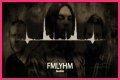 
                    Seether
                     – 
                    FMLYHM lyrics
                