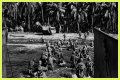 WWII's Most Daring Raids - Smithsonian Channel